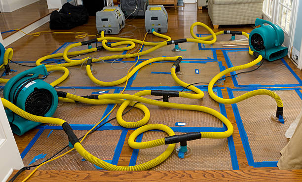 Professional Storm Water Damage Restoration technician working in Lawley, AL